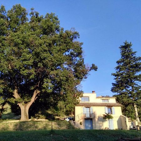 Maison D'Hotes Du Grand Chene Valensole Exterior foto